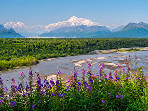 Фотографии Америка Парки Горы Речка Пейзаж Denali National Park