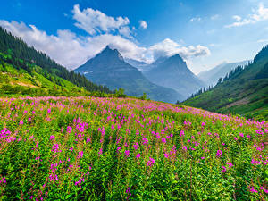 Фотографии США Парки Гора Пейзаж Glacier National Park