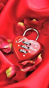 Wallpapers Valentine's Day Heart Petals Red Padlock