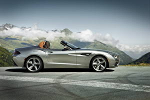 Sfondi desktop BMW D'argento Costose Decappottabile Vista laterale Asfalto Roadster 2012 Roadster Zagato Auto