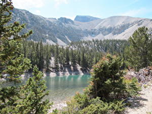 Bilder Parks Vereinigte Staaten Landschaftsfotografie Nevada Great Basin Natur