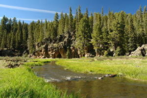 Bilder Park USA Fluss Wälder Landschaftsfotografie Nevada Great Basin Natur