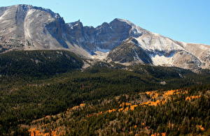 Bilder Parks Vereinigte Staaten Berg Wälder Nevada Great Basin Natur