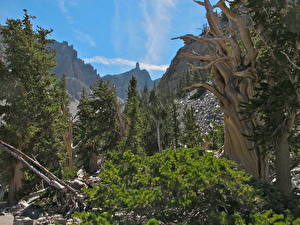 Hintergrundbilder Park USA Nevada Great Basin Natur