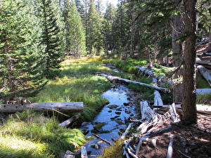 Fotos Park Vereinigte Staaten Nevada Bäche Great Basin Natur