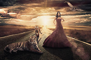 Bilder Wege Himmel Sonnenaufgänge und Sonnenuntergänge Große Katze Tiger Brünette Kleid Wolke junge frau Tiere Natur Fantasy