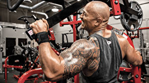 Papel de Parede Desktop Dwayne Johnson Homem Tatuagem Costas Camisa regata machine the rock gym workout Desporto Celebridade