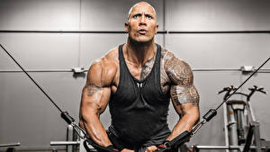 Papel de Parede Desktop Dwayne Johnson Homem Tatuagem the rock Celebridade