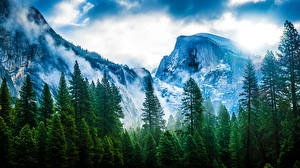 Fotos USA Gebirge Kalifornien Bäume Yosemite Nevada Sierra Natur