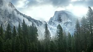 Hintergrundbilder USA Gebirge Kalifornien Yosemite Nevada Bäume Sierra Natur