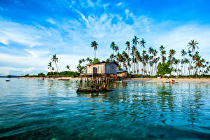 Fotos Malaysia Tropen Küste Palmen Maiga Island Natur