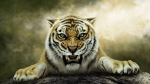 Bilder Tiger Gezeichnet Grinsen Fantasy Tiere