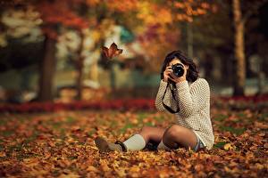 Papel de Parede Desktop Outono Sentada Câmera Folha Fotógrafo Naturaleza Meninas