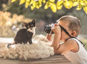 Papel de Parede Desktop Gato Gatinhos Câmera Fotógrafo criança Animalia