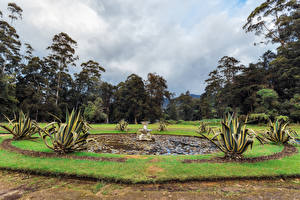 Papel de Parede Desktop Sri Lanka Parque Chafariz árvores Queen Victoria Park Naturaleza