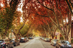 Bilder Australien Melbourne Straße Straße Bäume