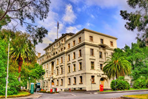 Fotos Melbourne Australien Gebäude Straße Palmen Commonwealth Parliamentary Offices