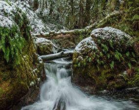 Papel de Parede Desktop Canadá Parque Cachoeira Neve Musgos Córregos Vancouver Island Parks Naturaleza