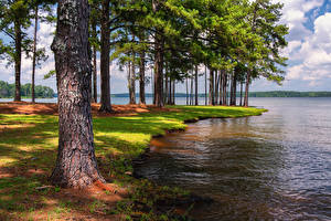 Papel de Parede Desktop EUA Parque Lago Florida árvores Anderson Park West Point Lake Naturaleza