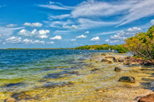 Papel de Parede Desktop Estados Unidos Costa Pedra Florida Baía Key Largo Naturaleza