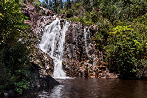 Fotos Australien Melbourne Park Wasserfall Felsen Natur