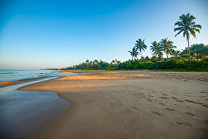 Papel de Parede Desktop Sri Lanka Costa Mar Palmeira Praia Bentota Beach