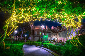 Papel de Parede Desktop EUA Disneyland Parques Casa Califórnia Anaheim Noite Revérbero Luzes de Natal Arbusto HDRI Cidades