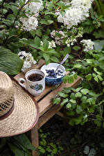 Fonds d'écran Yaourt Myrtille Thé Branche Tasse Bol (vaisselle)