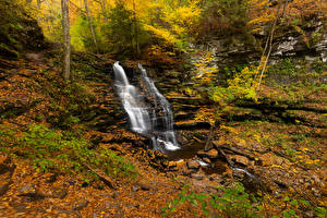 Papel de Parede Desktop EUA Parque Outono Cascata Pedra Córrego Folha Ricketts Glen Naturaleza