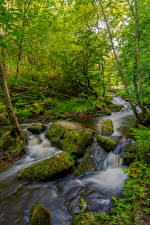 桌面壁纸，，英格兰，森林，石，树，溪，苔，Peak District，大自然