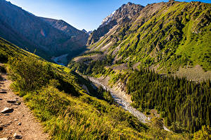 Papel de Parede Desktop Parques Montanhas árvores Córrego Ala Archa National Park, Kyrgyzstan Naturaleza