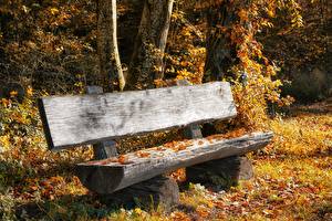 Fondos de escritorio Otoño Hoja Banco (mueble) De madera Naturaleza