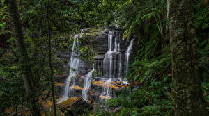 Bakgrunnsbilder Australia Parker Fosser Klippe Trær Blue Mountains National Park Natur