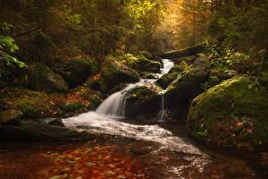 Papel de Parede Desktop República Checa Parques Outono Pedra Córregos Musgos Folha  Naturaleza