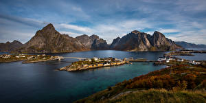 桌面壁纸，，挪威，罗弗敦群岛，山，岛，橋，Reinefjorden，