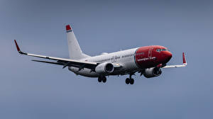 Картинка Боинг Самолеты Пассажирские Самолеты 737-800, Norwegian Air