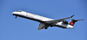 Картинка Самолеты Пассажирские Самолеты Bombardier CRJ900, Air Canada