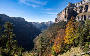 Фотографии Испания Горы Скала Деревьев Aragon