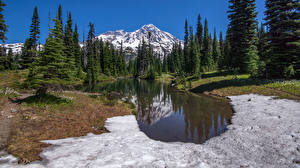 Bakgrunnsbilder USA Fjell Innsjø Parker Trær Mount Rainier National Park Natur