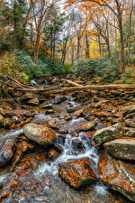 Papel de Parede Desktop Estados Unidos Parque Outono Pedras Córregos Folha Great Smoky Mountains National Park Naturaleza