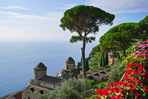 Фото Италия Берег Море Дерева Ravello, Villa Rufolo