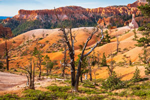 Bakgrunnsbilder Amerika Parker Klippe Trær Bryce Canyon National Park Natur