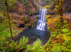 Papel de Parede Desktop Estados Unidos Parques Floresta Outono Cascata Penhasco Córregos Silver Falls Naturaleza