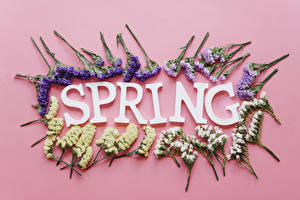 Wallpapers Spring Lettering Pink background