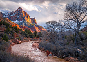 Фотографии США Парк Гора Реки Зайон национальнай парк Скале Utah Природа