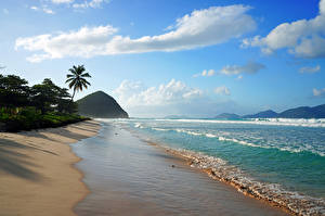 Papel de Parede Desktop Mar Praia Areia Palmeira Nuvem British Virgin Islands