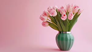 Image Tulip Bouquets Vase Pink background Flowers