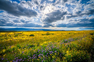 Фотография Штаты Поля Парки Облачно Лучи света Калифорния Carrizo Plains National Monument Природа