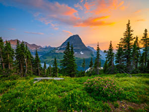 Фотографии Штаты Парки Горы Glacier National Park