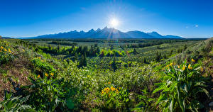 Bilder Vereinigte Staaten Parks Berg Sonne Grand Teton National Park